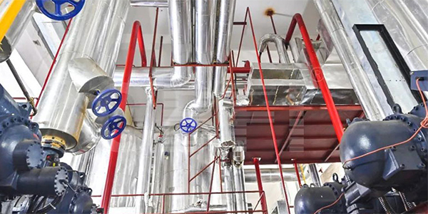Congélateur rapide à double spirale pour l’entreprise Octogone