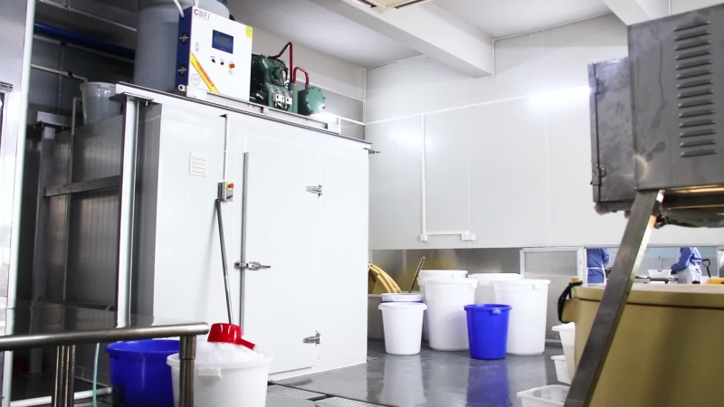 Machine à glace écailles pour la pêche
