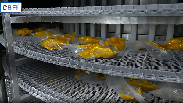 Système de congélation rapide à double spirale de 1000kg/h pour la volaille