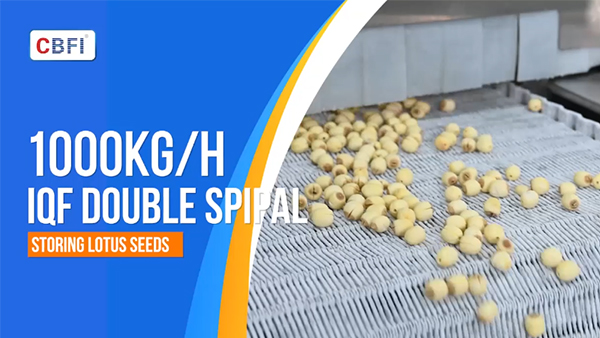 Congélateur rapide à double spirale d'une tonne par heure pour les graines de lotus