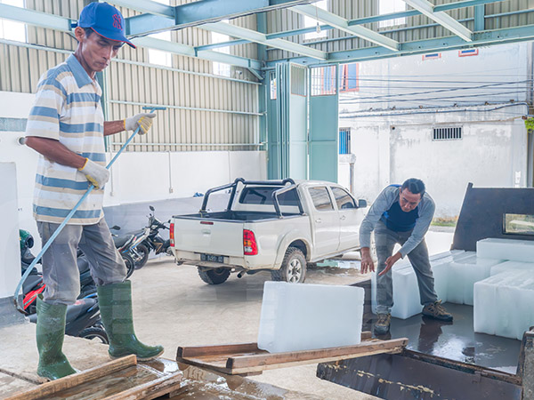Machines à glace en bloc à refroidissement direct de 2 x 15 tonnes pour un client Indonésien