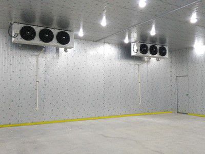 Chambre Froide pour les Fruits et Légumes