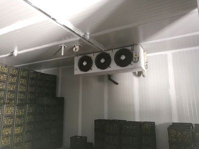 Stockage Froid à Atmosphère Contrôlée