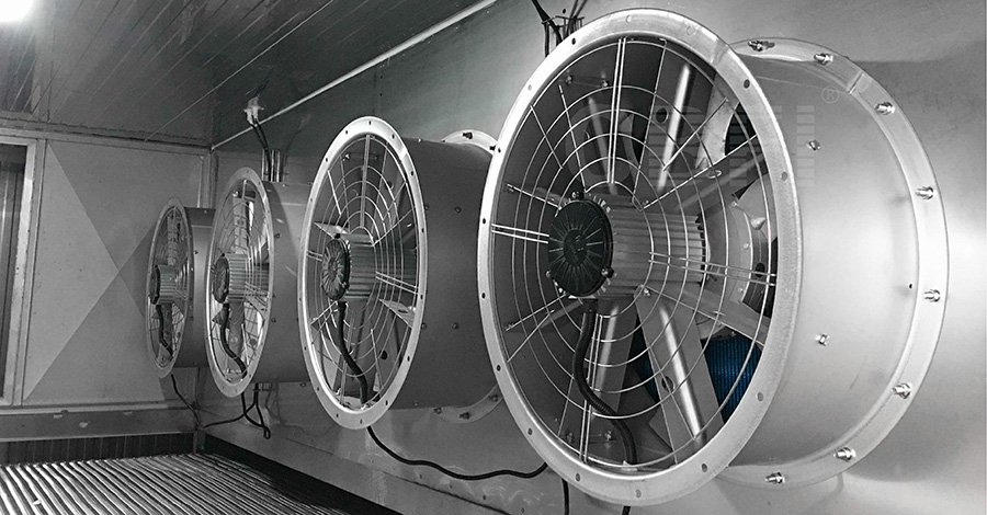 2 Tons Tunnel Freezer for Broccoli and Cabbage in China