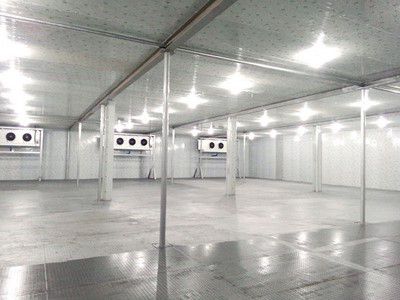 Stockage Froid de Viande Congelée