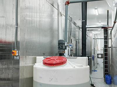 Tunnel de Surgélation par Saumure à 2 000 kg/h pour Crevettes Surgelées en Équateur