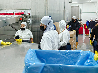 Tunnel de Surgélation par Saumure à 2 000 kg/h pour Crevettes Surgelées en Équateur