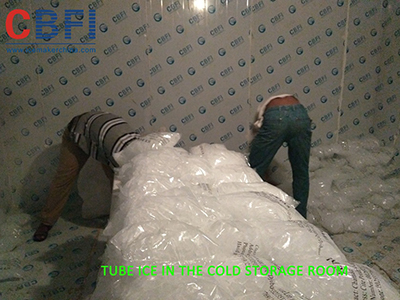 Usine de fabrication de glace en tube de 10 tonnes de CBFI à Djibouti