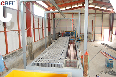 Usine de fabrication de blocs de glace de 12 tonnes de CBFI aux Philippines