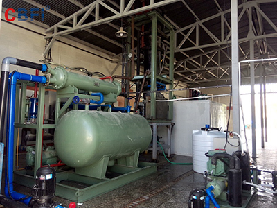 Usine de glace en tube de 20 tonnes de CBFI en Iran