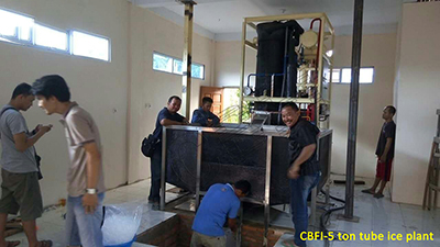 Machine à glace en tube de 5 tonnes de CBFI en Indonésie