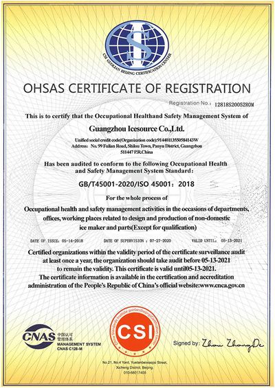 Système de gestion de la santé et de la sécurité au travail (OHSMS)