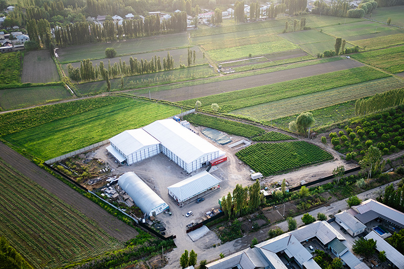 Tunnel de Surgélation Fluidisé à 2 000 kg/h pour Baies Surgelées au Kirghizistan