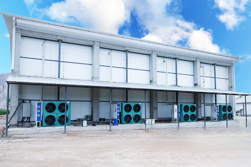 Tunnel de Surgélation Fluidisé à 2 000 kg/h pour Baies Surgelées au Kirghizistan