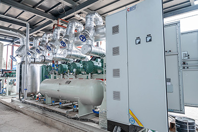 Tunnel de Surgélation Fluidisé à 2 000 kg/h pour Baies Surgelées au Kirghizistan