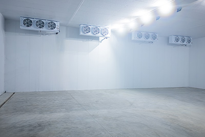 Tunnel de Surgélation Fluidisé à 2 000 kg/h pour Baies Surgelées au Kirghizistan