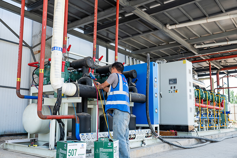 Tunnel de Surgélation Fluidisé à 2 000 kg/h pour Baies Surgelées au Kirghizistan