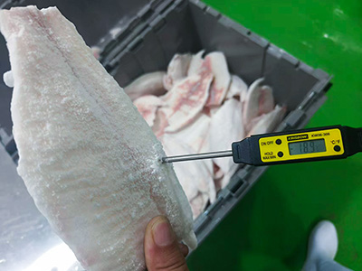 Tunnel de Surgélation pour Filets de Poisson en Indonésie