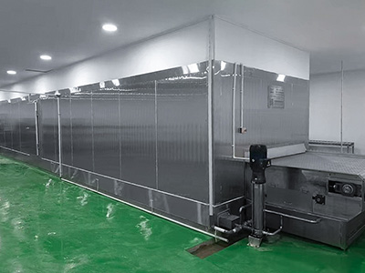 Tunnel de Surgélation pour Filets de Poisson en Indonésie