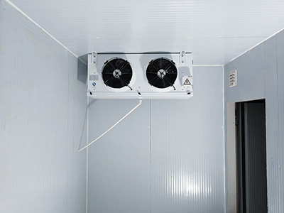 Tunnel de Surgélation pour Filets de Poisson en Indonésie