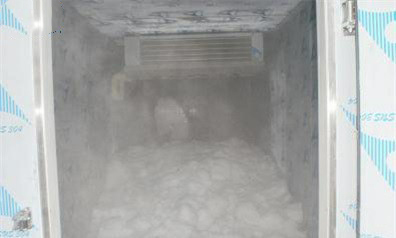 Maldives--Machine à glace en plaque conteneurisée et stockage de glacee