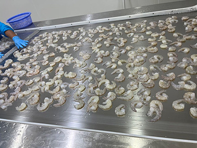 Tunnel de Surgélation Rapide pour Crevettes Congelées en Thaïlande