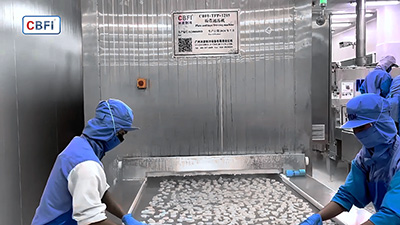 Tunnel de Surgélation Rapide pour Crevettes Congelées en Thaïlande